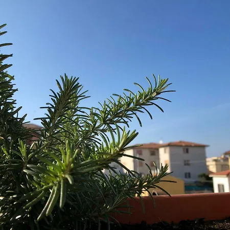 Da Paola فندق مبيت وإفطار بيزا