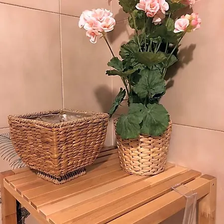 Da Paola Bed & Breakfast Pisa