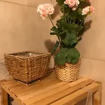 Bed and Breakfast Da Paola Πίζα