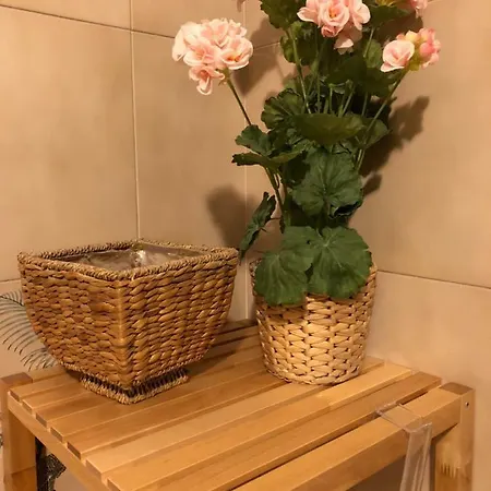 Oda ve Kahvaltı Da Paola Pisa